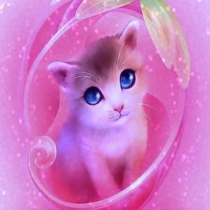 Meet your Posher, Kristi